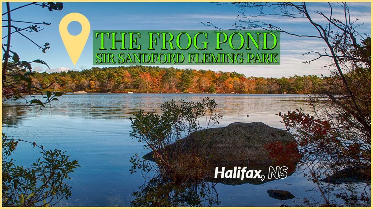 'Video thumbnail for The Frog Pond (Autumn) -Sir Sandford Fleming Park - Halifax, NS'