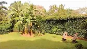 'Video thumbnail for Kardamom & Koffee: A hidden gem in Kampala'