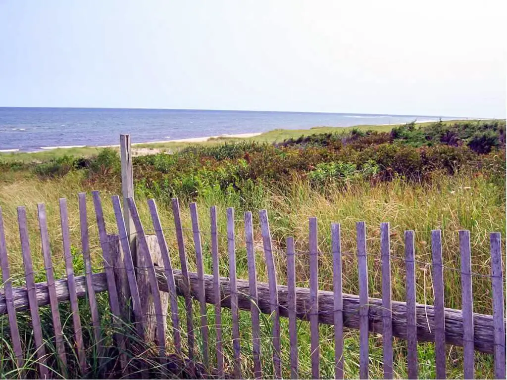 Coast Guard Beach - Where to find Cape Cod accommodation near the beach