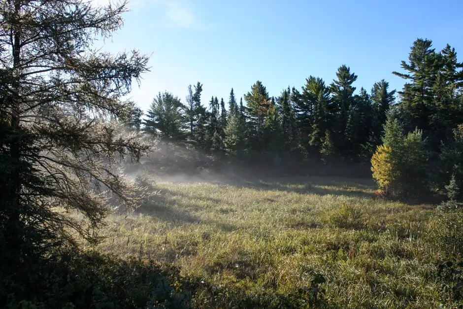 Autumn morning in Killarney Provincial Park