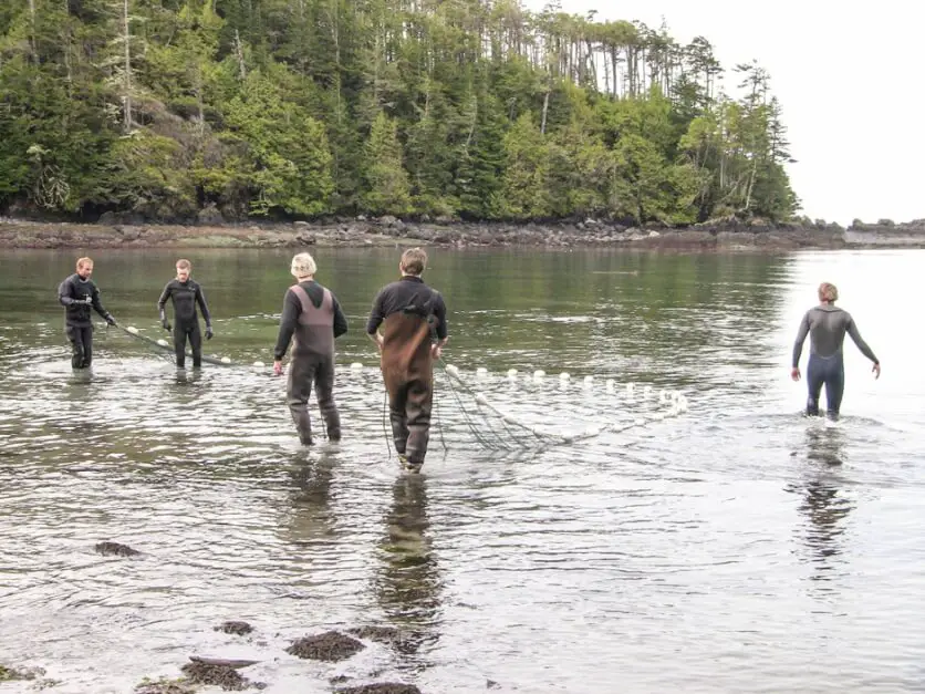 Frische Fische fürs Aquarium in Ucluelet