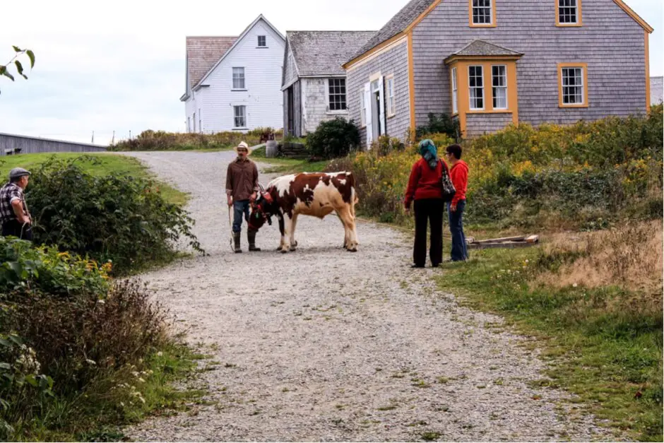 Acadia on the Atlantic coast of Nova Scotia