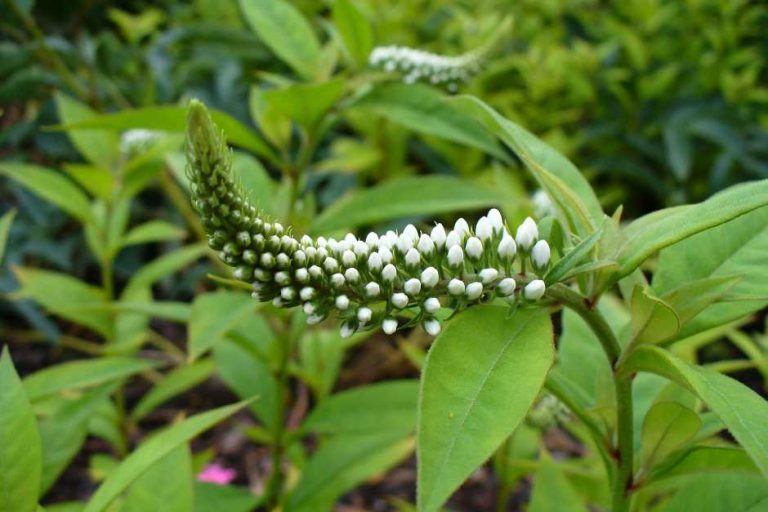 Der Trans Labrador Highway von Baie Comeau nach Labrador