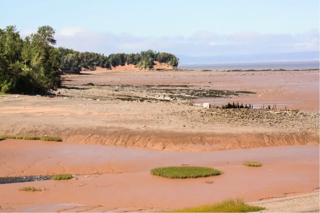 The Bay of Fundy at Tennycape