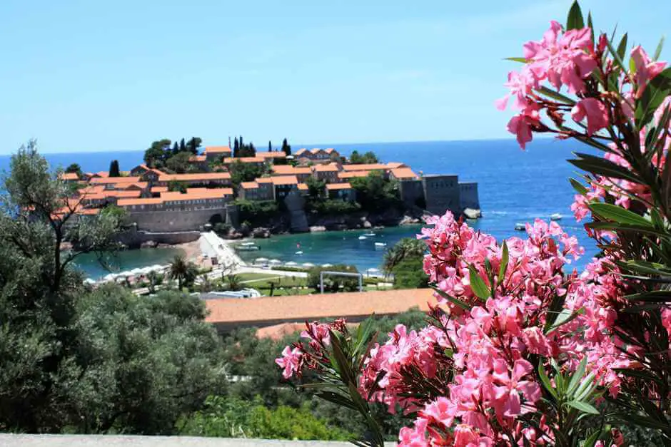 Sveti Stefan mit Oleander