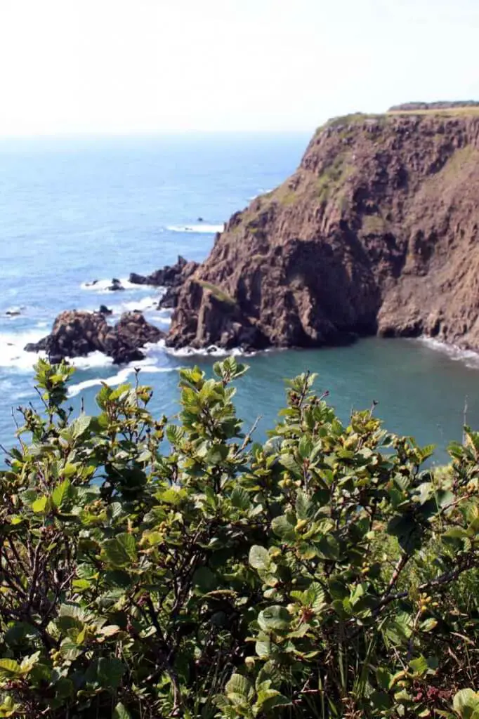 Cliffs on the south and west coast of Grand Manan Island © Copyright Monika Fuchs, TravelWorldOnline