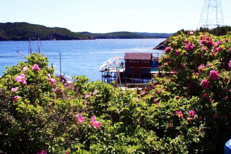 Das Fischerei Museum in Twillingate Neufundland