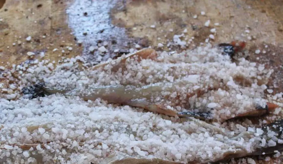 saltfish