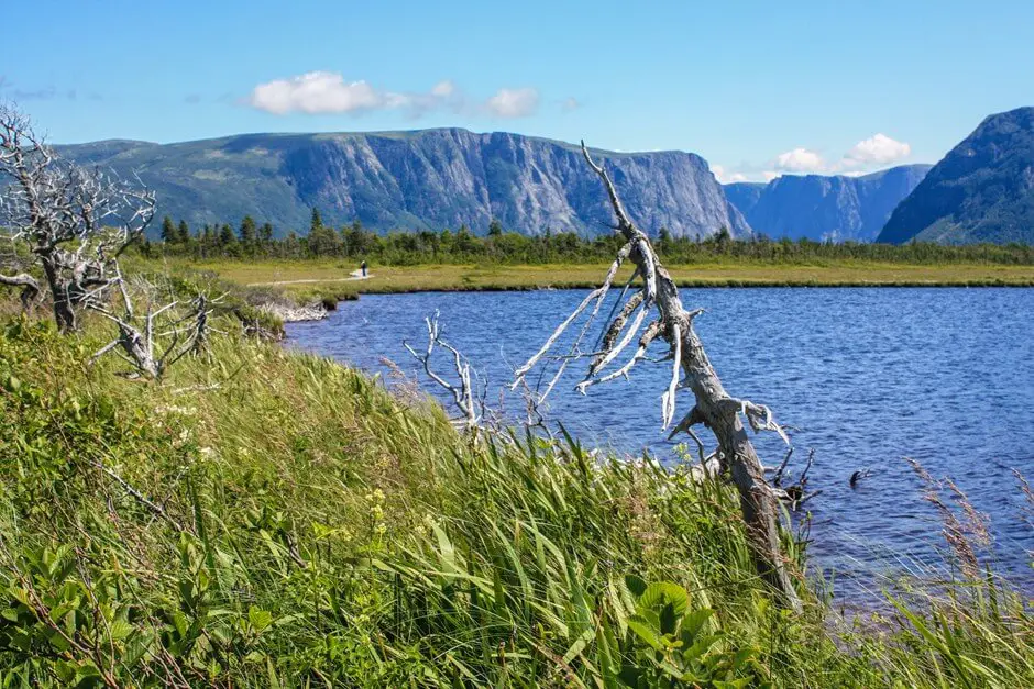 Through swamp terrain we go to the Western Brook Pond