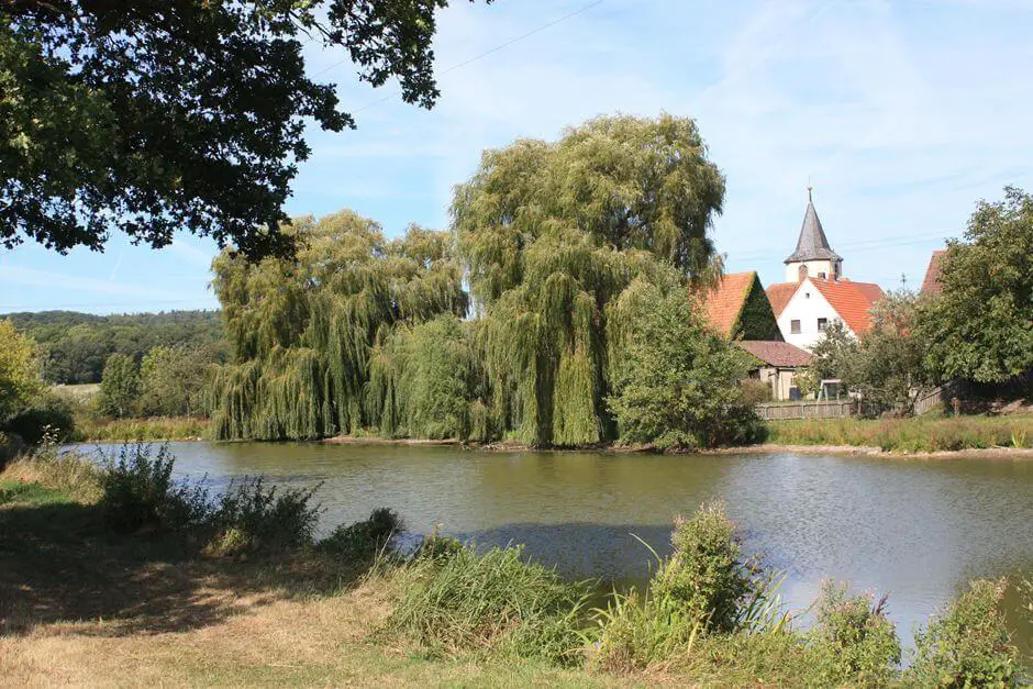 In the Franconian wine country hike to the village pond in Birklingen