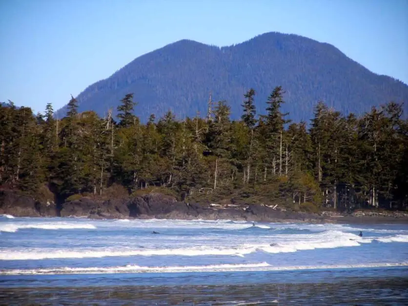 Tofino on Vancouver Island - Five Tips for a Trip