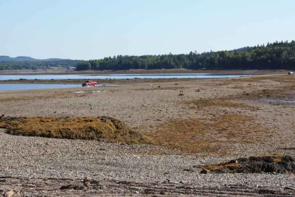 Cars cross the ford to Minister's Island at low tide