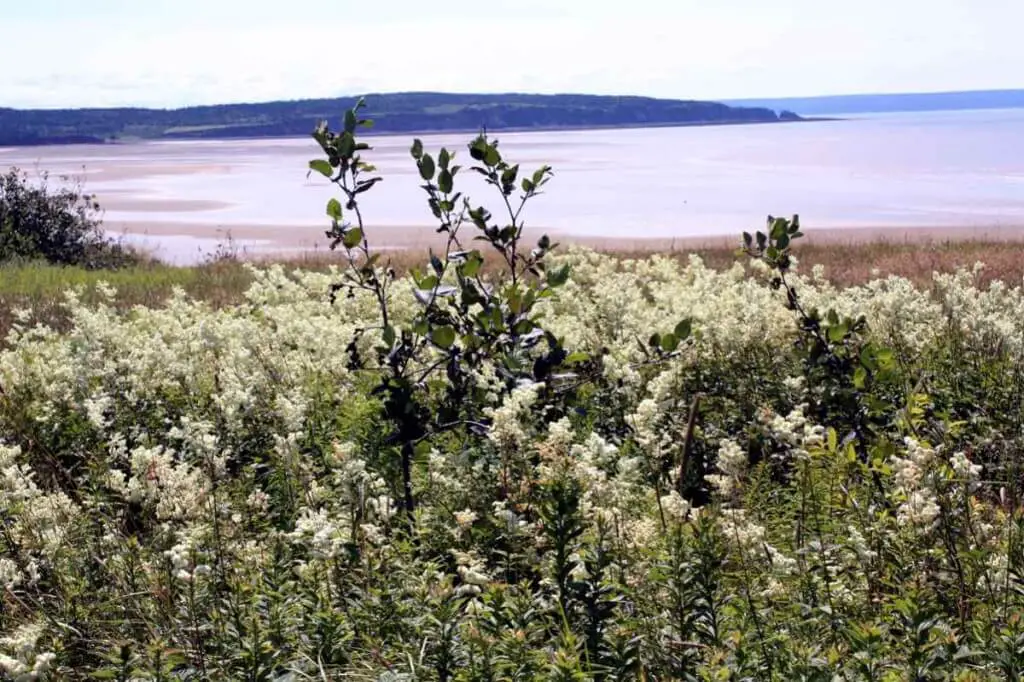 Arrival to Cape Enrage