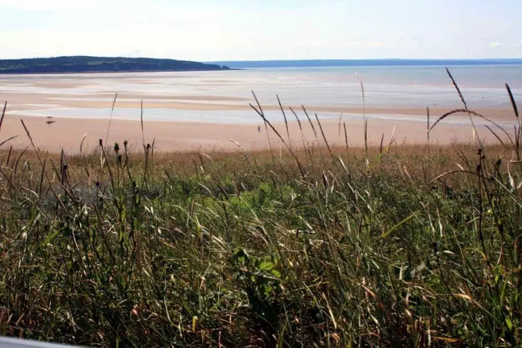 Ebbe bei Cape Enrage