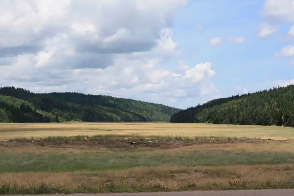 Küstenlandschaft bei Cape Enrage