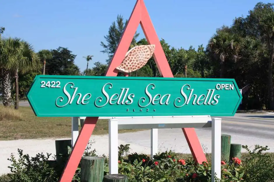 Seashells from the Sanibel Island Florida Beaches