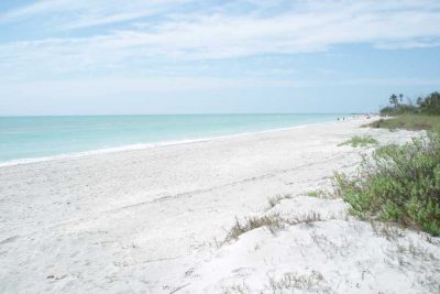 Sanibel Island Florida Beaches - Muscheln en masse