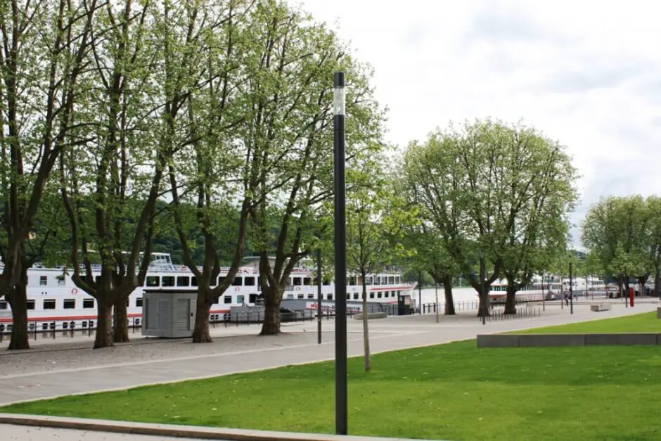 River cruiser on the Rhine shore