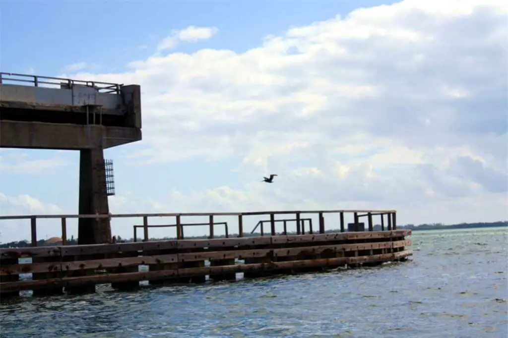 Ein Pelikan fliegt an uns vorbei © Copyright Monika Fuchs, TravelWorldOnline
