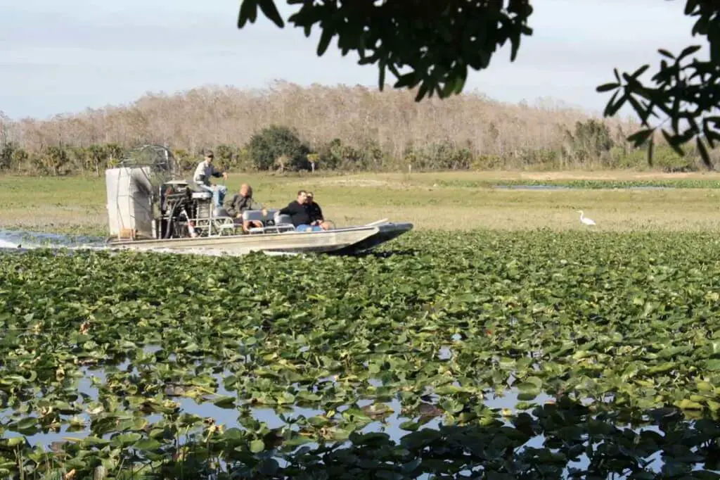 By airboat through the Everglades