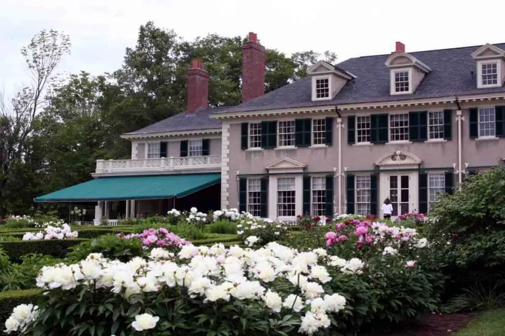 Peony blossom in Hildene Park, Manchester Vermont