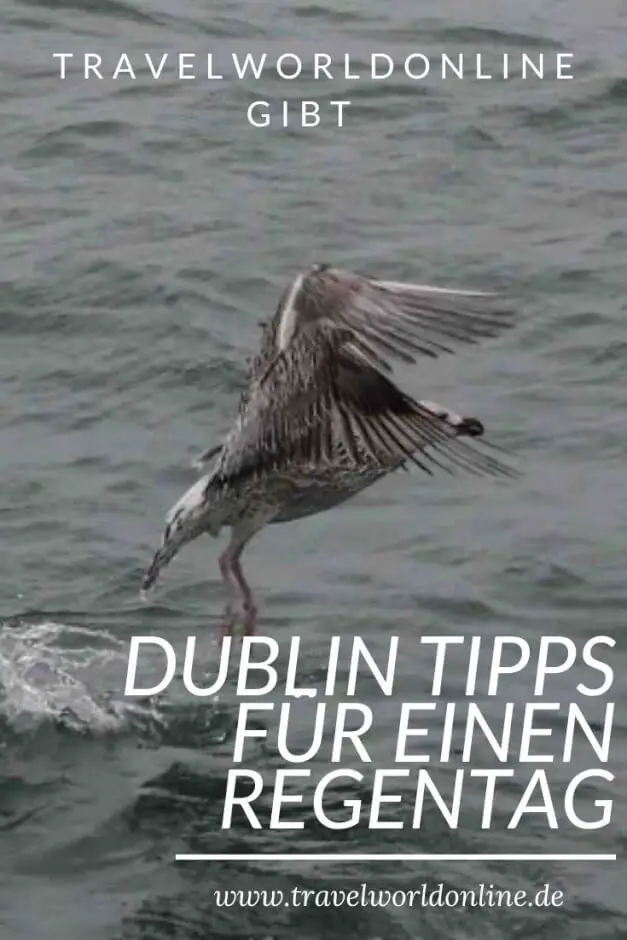 Dublin tips for a rainy day