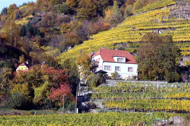 House in the vineyards of Wachau