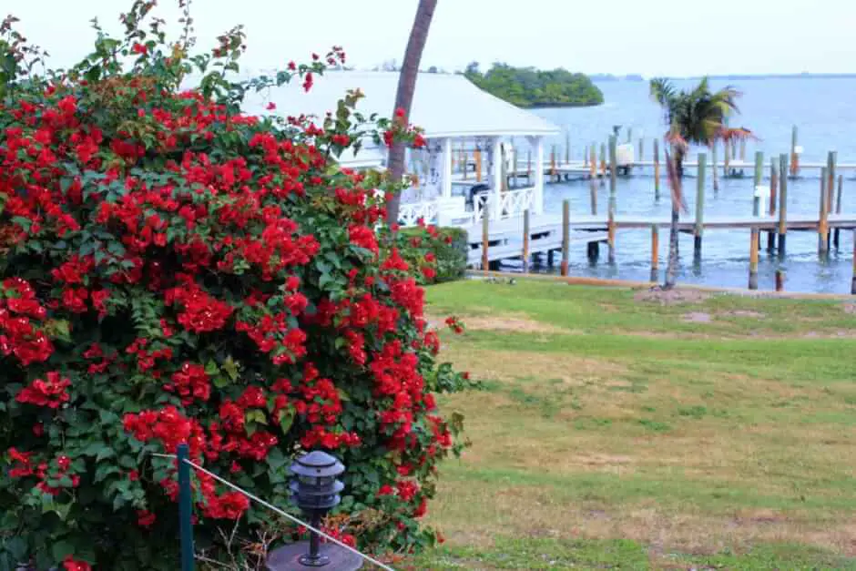 Nur zwei Schiffe pro Tag legen in Cabbage Key an © Copyright Monika Fuchs, TravelWorldOnline