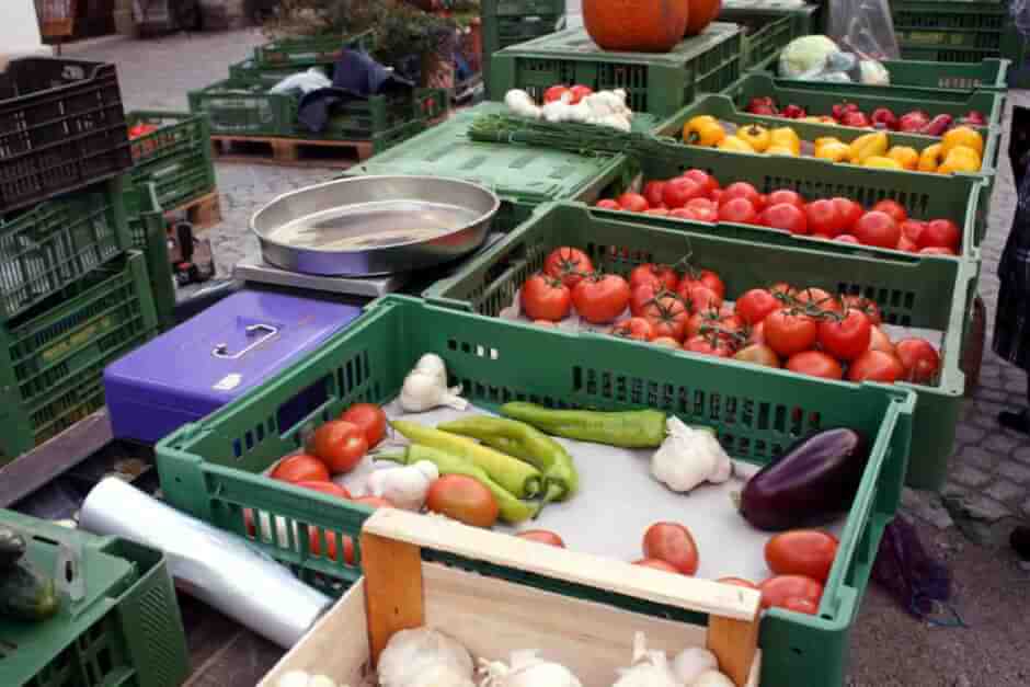 Vegetable ingredients for our goose meal