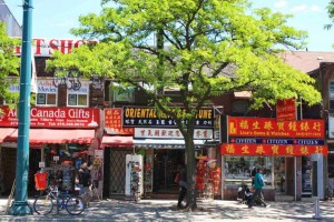 Ein Sammelsurium an Läden in Torontos Chinatown