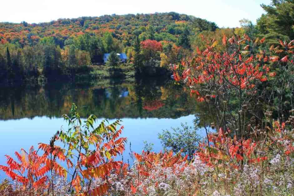 The colorful forests in the Muskoka region of Ontario during the Indian Summer © Copyright Monika Fuchs, TravelWorldOnline