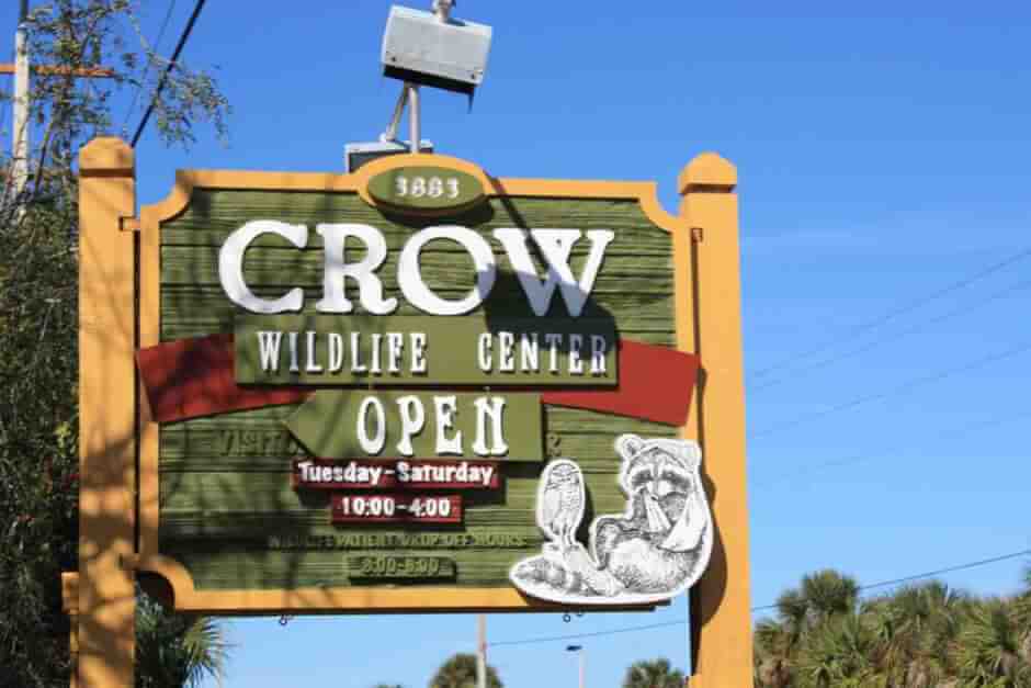 Crow Wildlife Center auf Sanibel Island