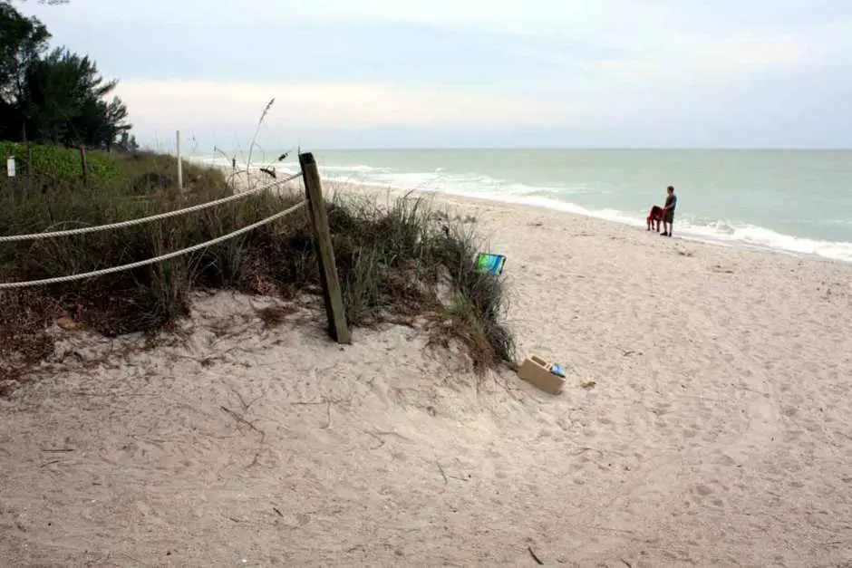 On the island beach