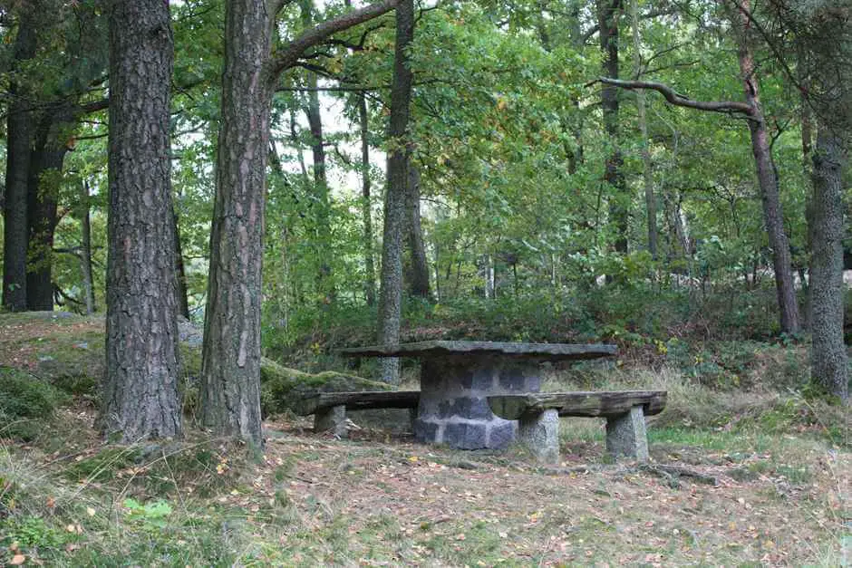 In the Blockheide in the Waldviertel