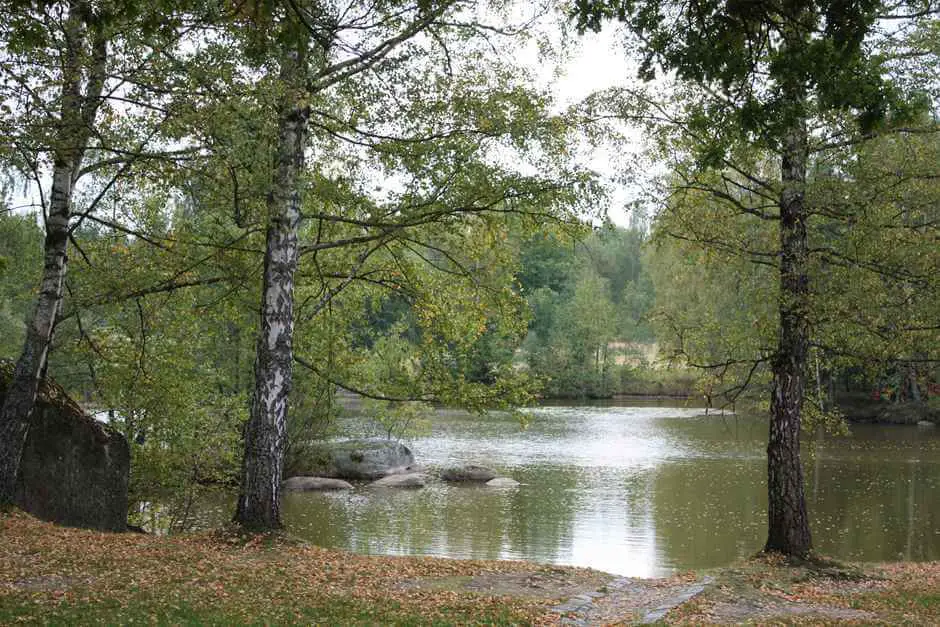 Teich in der Blockheide