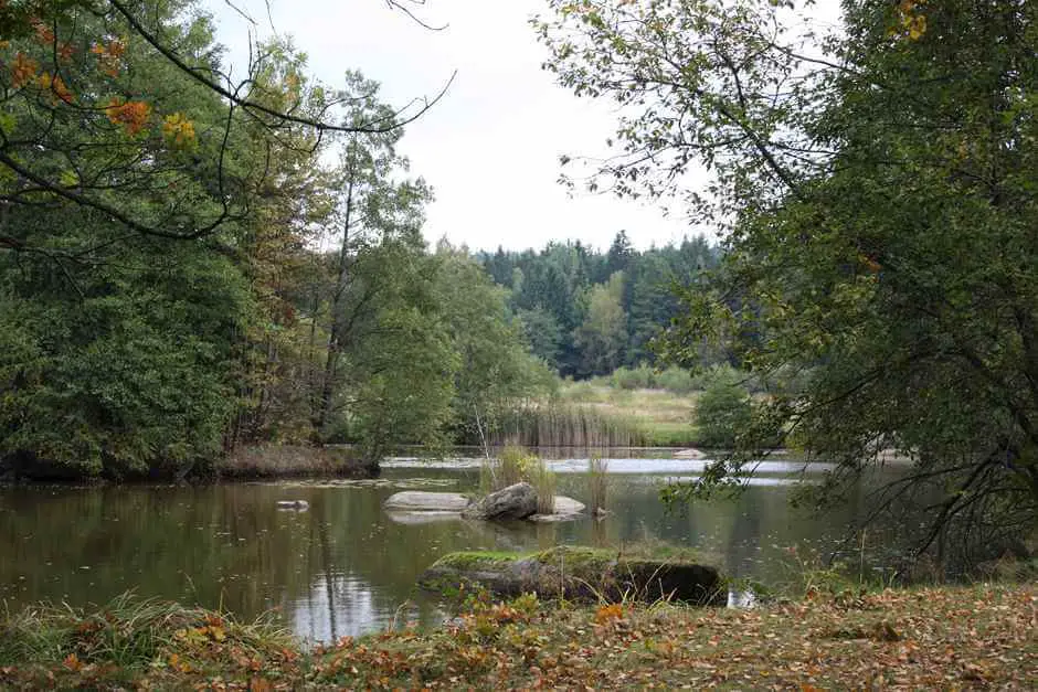 Hiking in the Blockheide Gmünd in the Waldviertel