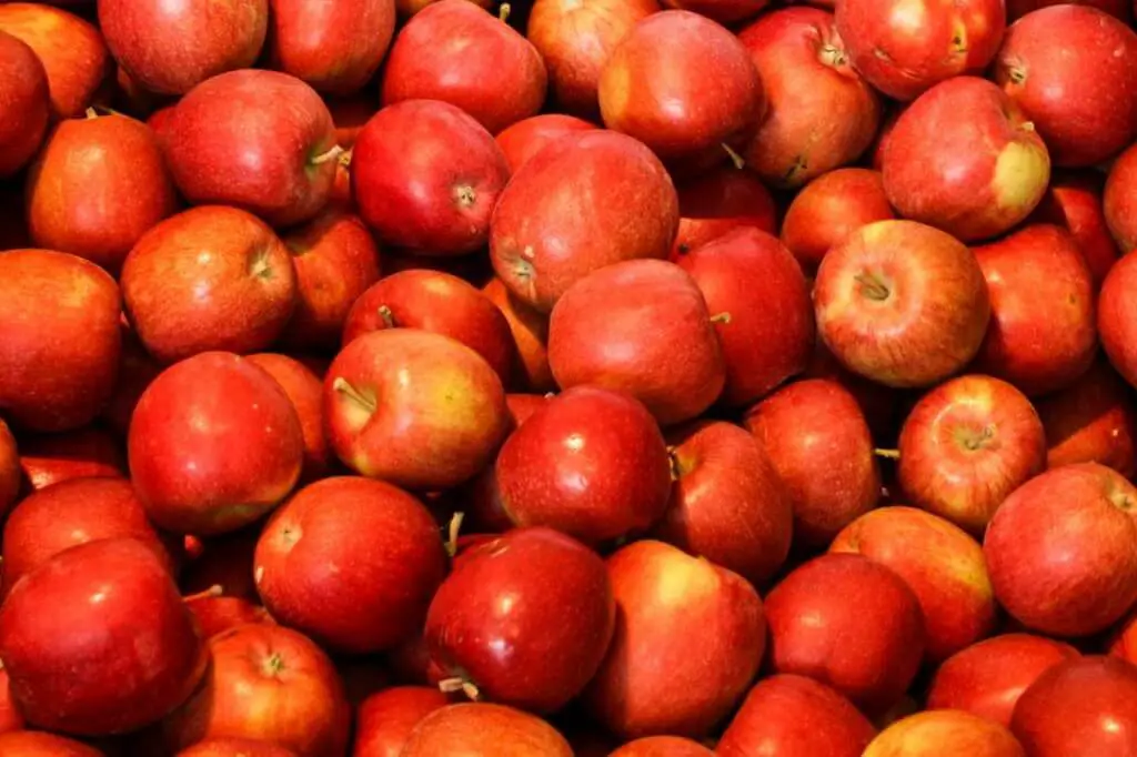 Apple varieties