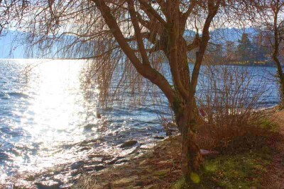 Wintertag am Traunsee Österreich