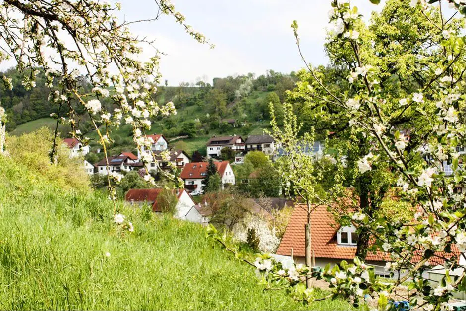 Spring bloom in the Jagsttal