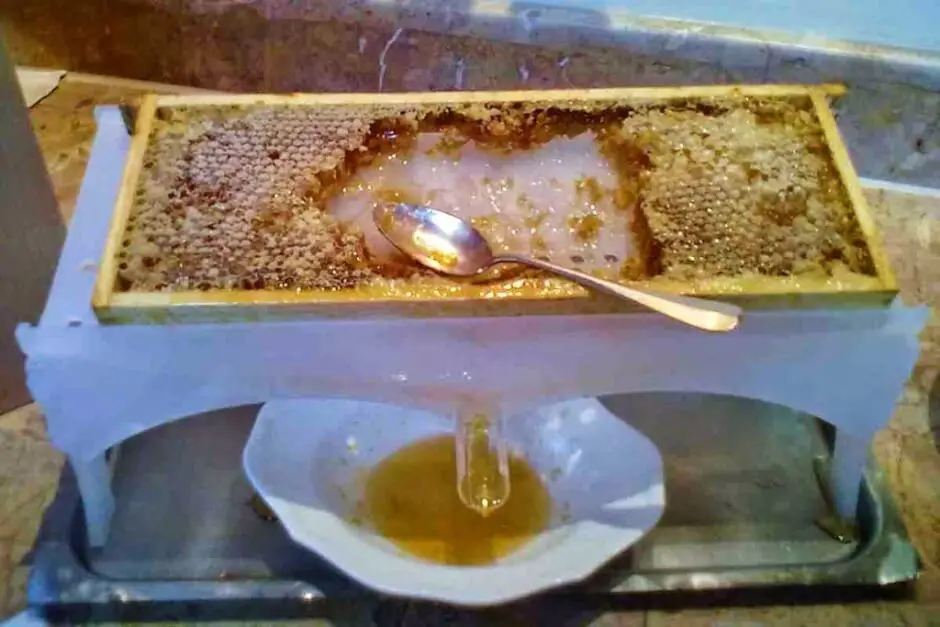 Bee honey from honeycombs