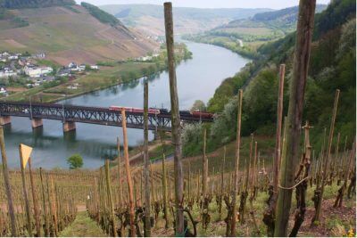 The "Kanonenbahn" near Alf on the Moselle