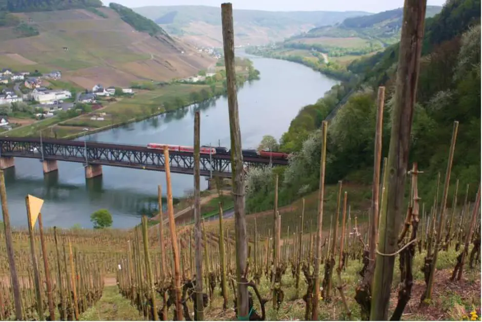 Die "Kanonenbahn" - Mosel Tour um Alf an der Mosel - Aussicht auf unserer Moseltour im Cabrio