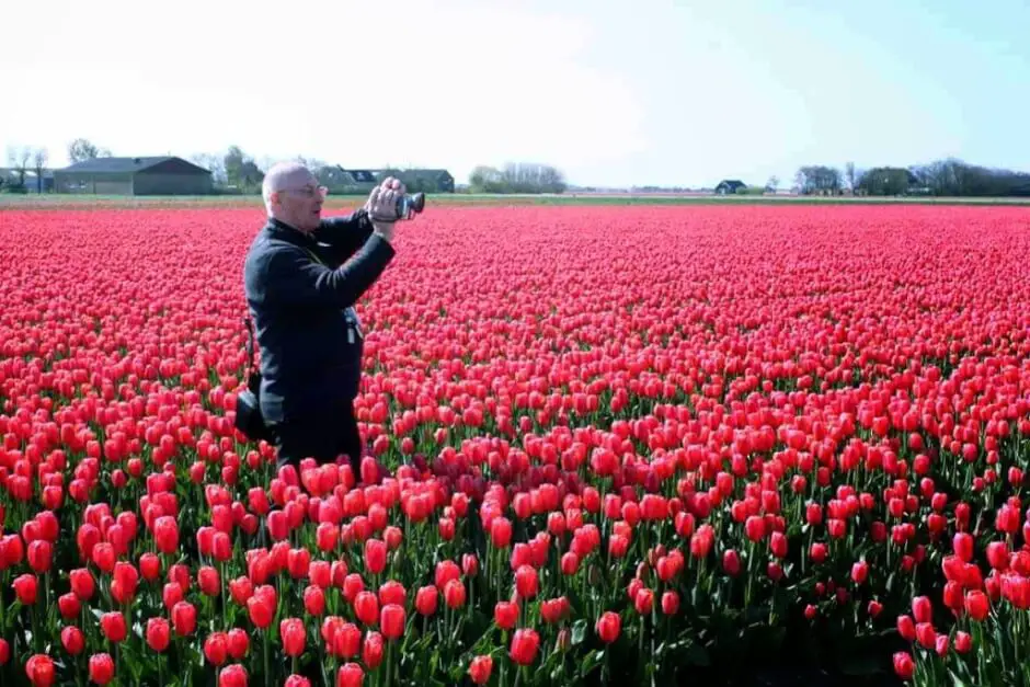 petar-in-einem-meer-roter-tulpen