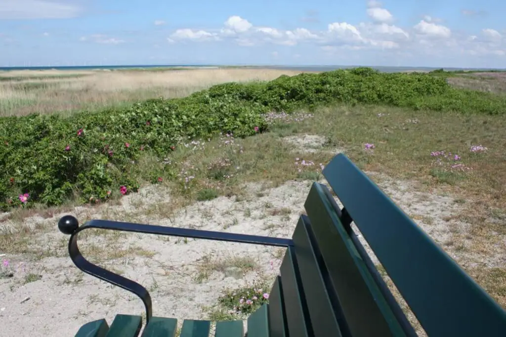 Bench with a view