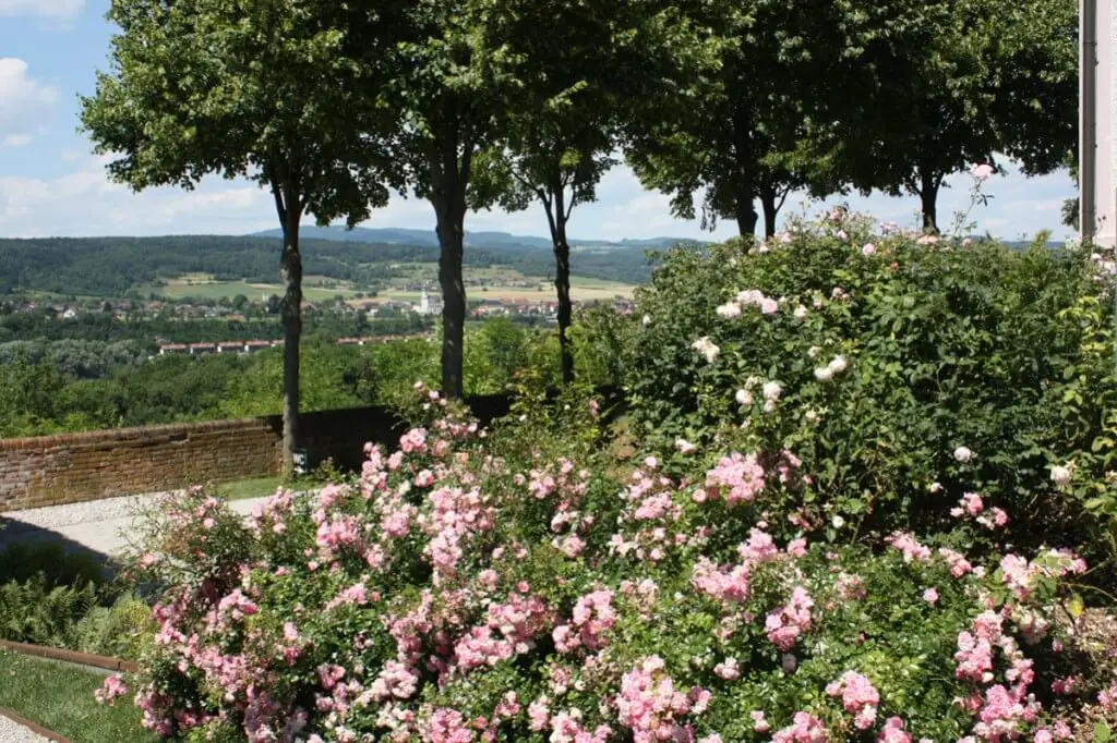 Die Donau bietet Reiseziele fürs Frühjahr