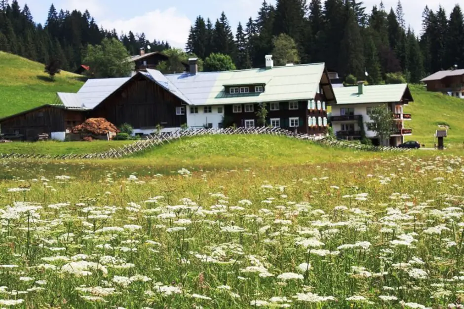 Berghütte Kleinwalsertal im Frühling