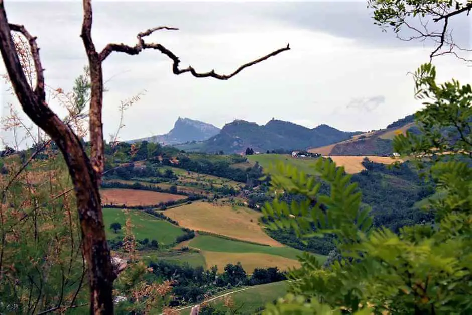 In the hinterland of Cesenatico, Italian hard cheese is produced