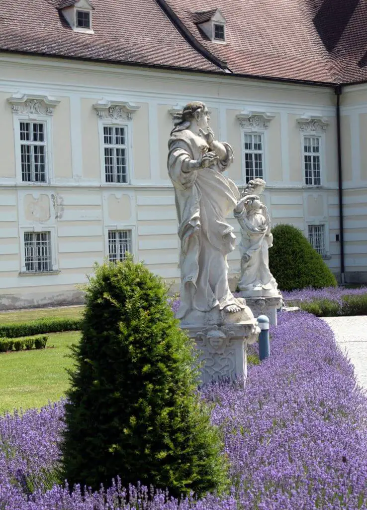 Lavender in Altenburg Abbey