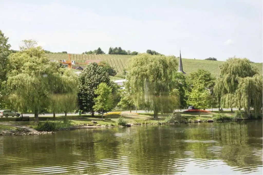 Weinberge - Luxemburg Sehenswürdigkeiten für Genießer