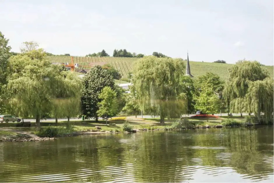 Vineyards - Luxembourg sights for connoisseurs